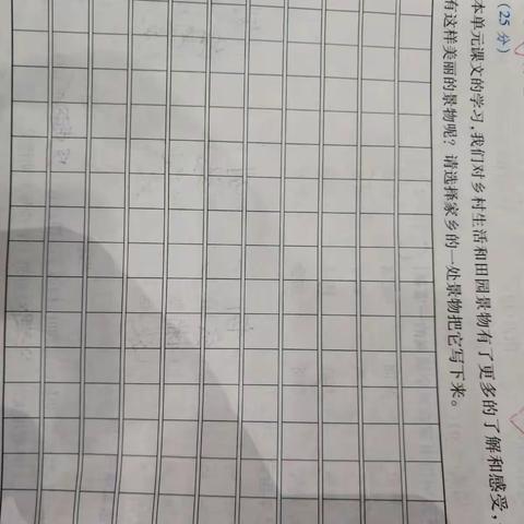 妙笔生花1:乡村的一处景物。[限时作文40分钟]