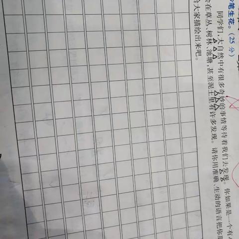 妙笔生花2:《大自然的发现》[40分钟限时作文]