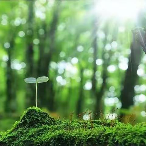 爱与责任在疫情中放光芒——广武二中教师疫情风采