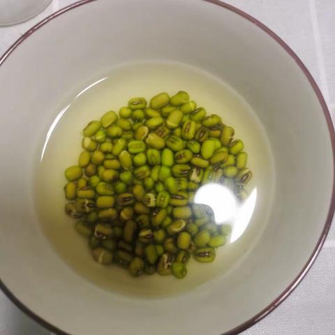 绿豆芽生长记（2021级16班张皓喆）