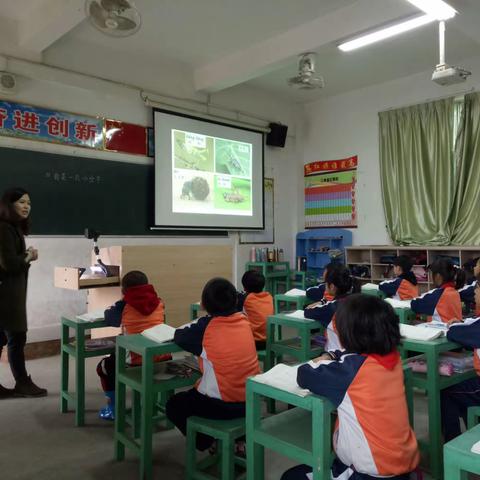 新岭小学片区联研公开课——二年级语文《我是一只小虫子》
