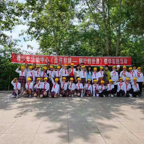 青少年活动中心研学实践课《走进自然—树叶的世界》