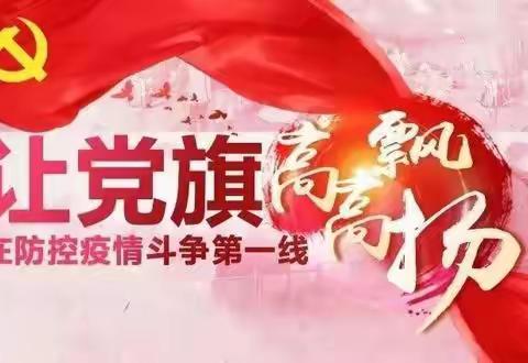 党旗飘扬，我们是冷链防控风语者 ——抗疫日记之风语