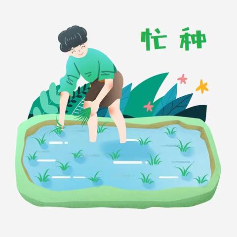 和凤第一中心幼儿园   中三班   芒种之——插秧之歌