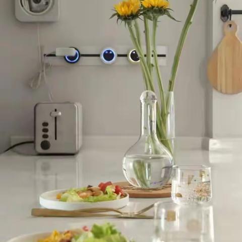 美食传承-爱与文明的延续