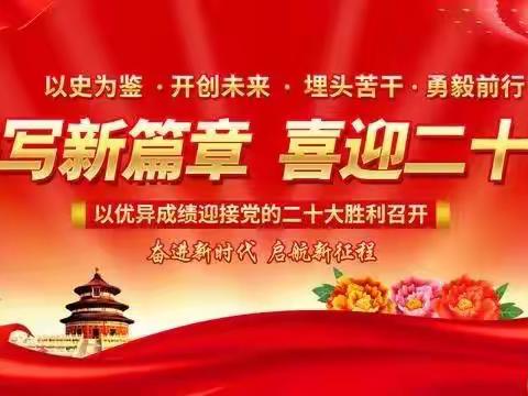 苗村深入贯彻学习党的二十大精神主题宣讲会