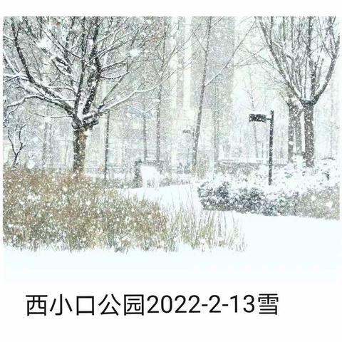 大雪中北京西小口公园