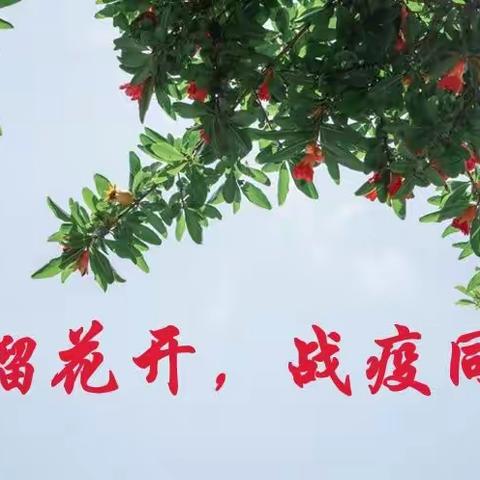 石榴花开，战疫同心