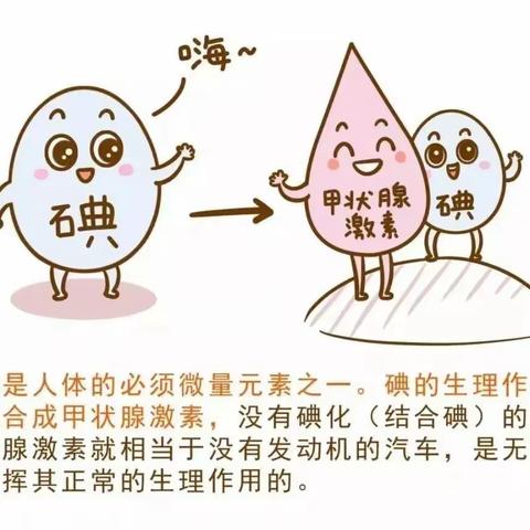 智慧人生健康路 科学补碘第一步