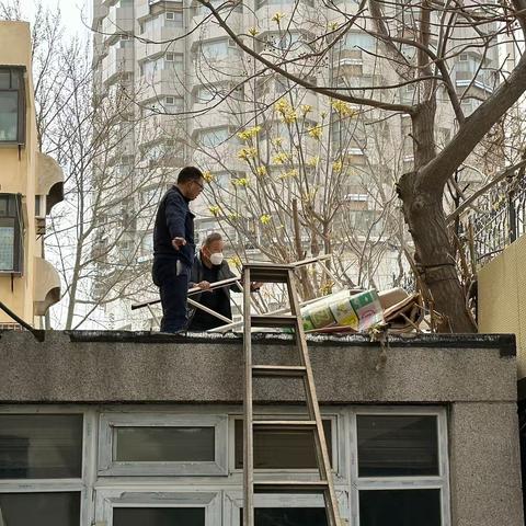 杆石桥：七一小区社区创城进行时