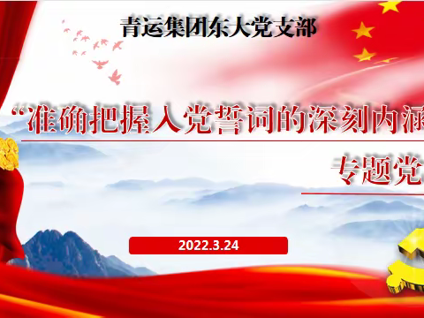 东大党支部开展学习入党誓词的深刻内涵专题党课