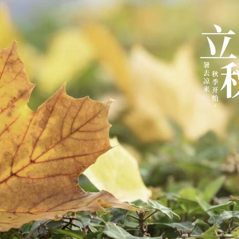 【节气养生】立秋养生重在“收”与“养”