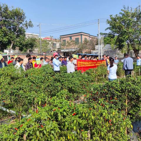 党建业务双融，农业技术培训走进福久村