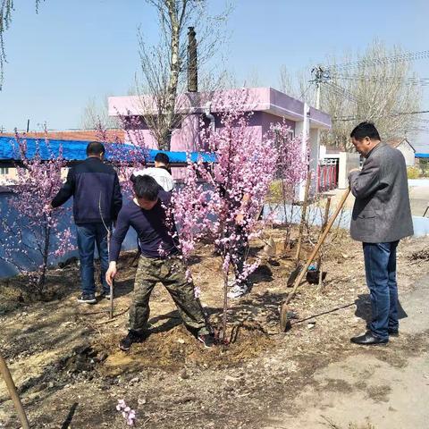 业民镇中心小学党日活动—党员教师举行“为校园添新绿”义务植树活动