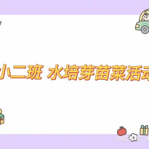 小二班—水培芽苗菜活动