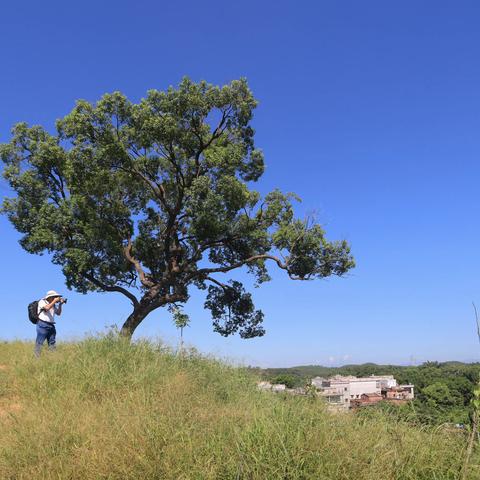 江门开平碉楼