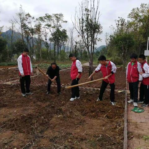 学校的早晨书声朗朗，基地的阳光普照心田。课余的生活劳逸结合，劳动的成果一天一样。光明老师正和大家一起干！