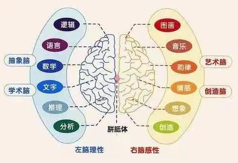 一次选择一个惊喜，9.9元抢课啦！！