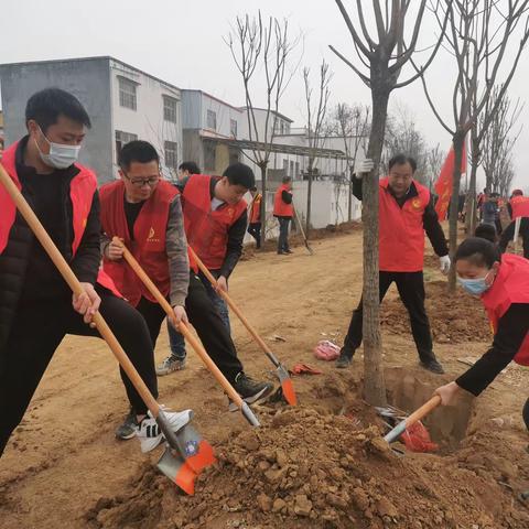 春回大地暖，植绿正当时——郾城区文化旅游局开展春季义务植树活动