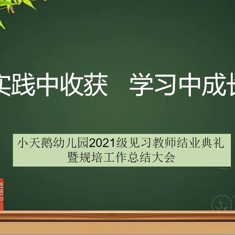 实践中收获 学习中成长