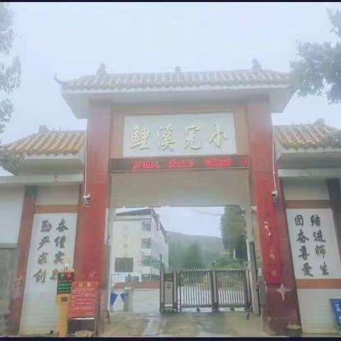 宁远县鲤溪完全小学落实“双减”和“五项管理”工作告家长书