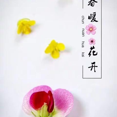 和美•市二幼青青园//春暖花开美食每刻(3月14日～3月18日)一周食谱