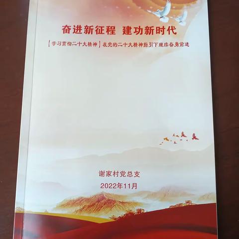 谢家村党总支组织开展集中学习贯彻二十大精神主题活动