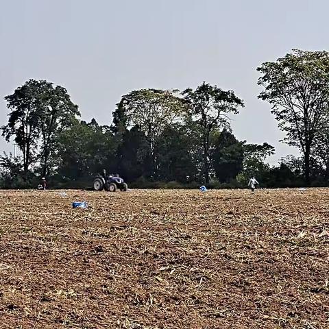 认真完成小麦肥料试验、示范播种工作，为化肥减量增效、农业绿色发展做好奠基石