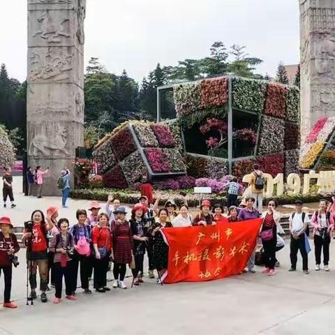 雕塑公园2019广州簕杜鹃花展