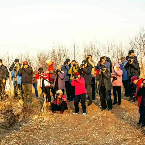 枣庄市市中区老年大学摄影班与模特班户外活动集锦