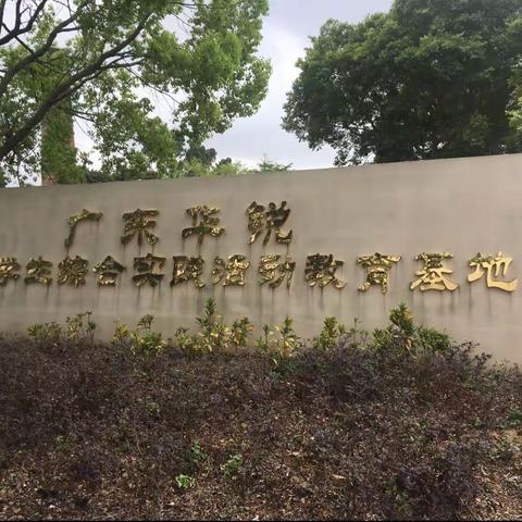 军训研学路，蜕变成长时——湛江第四小学五（6）班广东华锐军训暨研学实践教育活动（上篇）