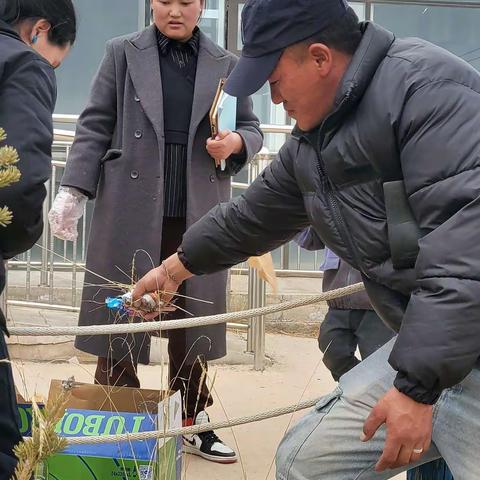 学习雷峰 从我做起－－麦秀镇中心幼儿园开展学习雷峰主题活动