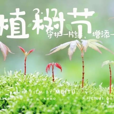 春暖花开 “植”得期待——无锡市阳光特殊教育学校植树节主题活动