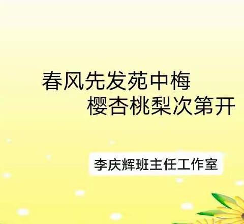 “春风先发苑中梅，樱杏桃梨次第开”——宾县第六小学李庆辉班主任工作室“班主任基本功修炼”活动纪实