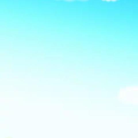 湛江二中港城中学初三百日誓师大会——初三（15）班