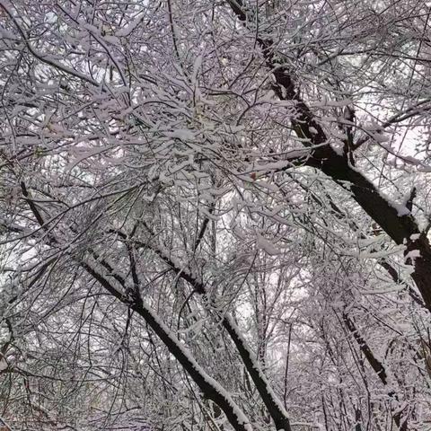 “校园礼赞” “为了父母的叮嘱”“赞美老师”“母爱无私，清澈澄净”“追光的启程之地”“ 感谢遇见”