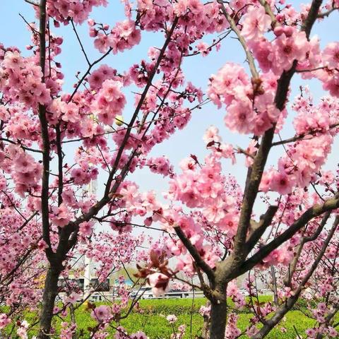 六十生日    感恩有您