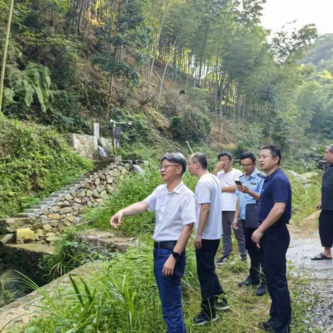区政府领导到洋溪镇调研水利工作