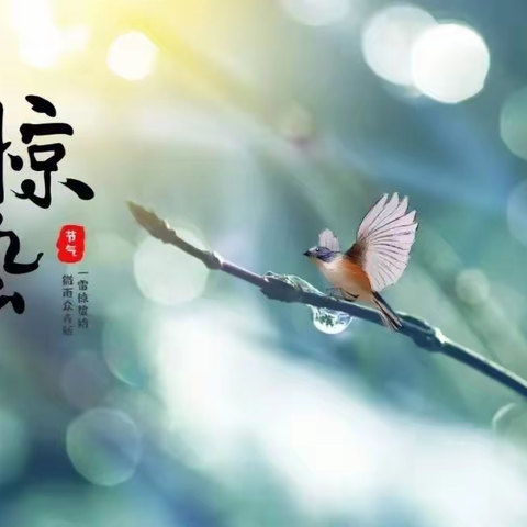 “雨过花开·雷鸣春醒”——【二十四节气】· 惊蛰篇