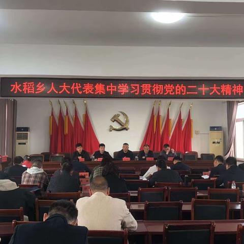 水稻乡人大代表集中学习党的二十大会议精神