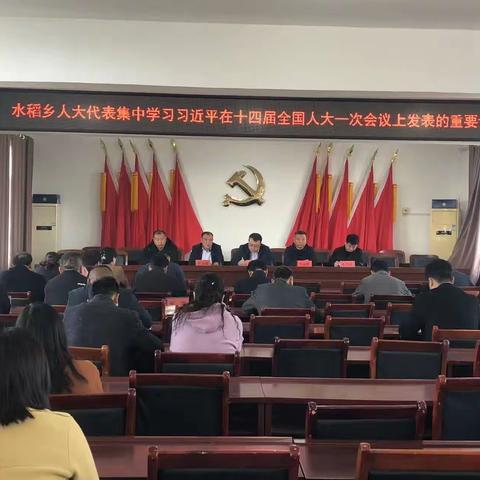 水稻乡人大代表集中学习习近平在十四届全国人大一次会议上发表的重要讲话