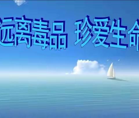 禁毒宣传进万家  幸福生活不“毒”行