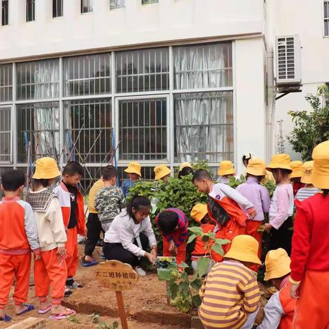 《播种希望，收获成长》琼海市潭门镇中心幼儿园大二班