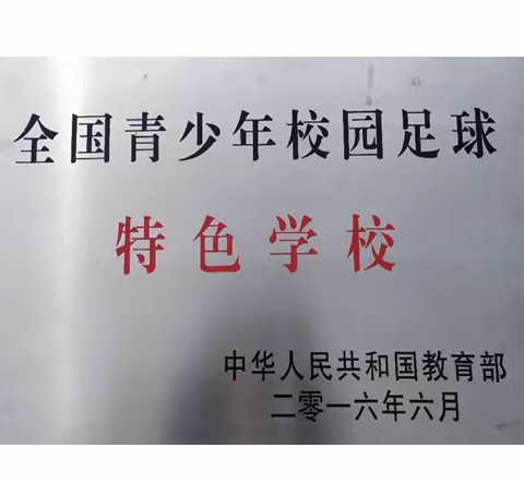 以球育德、以球启智、以球健体、以球润美  —	新甫中学2019年校园足球班级联赛圆满落幕