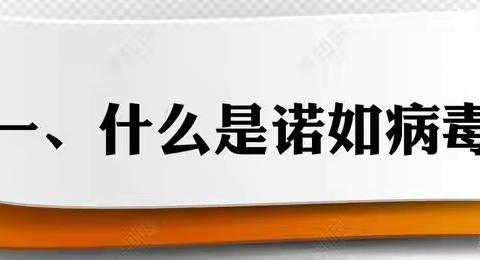 大信顺联小学预防诺如病毒知识