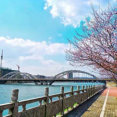 风景如画的东江湾