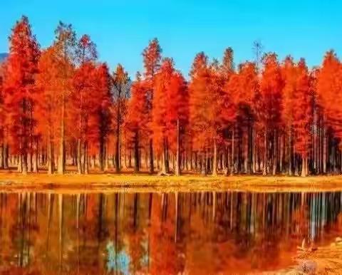 牛头山水库红杉林穿越之旅