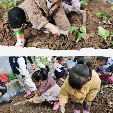 蔬菜标识牌的手作之旅——中三班木工项目活动