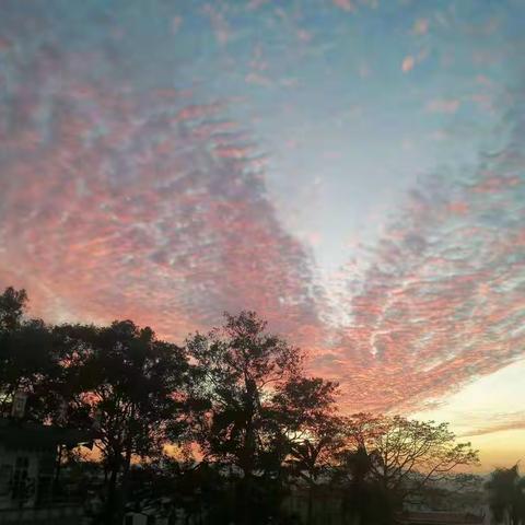 青听蝶语——青春飞扬                           (七年级下册)