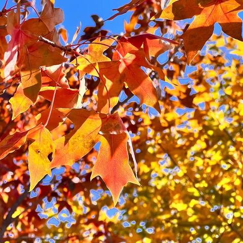 一路向北（六）